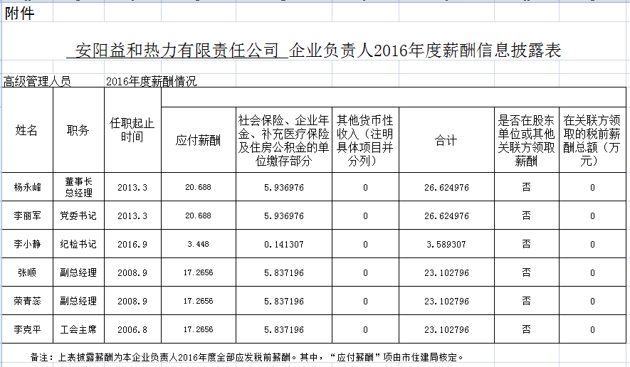 企業(yè)負(fù)責(zé)人2016年度信息披露情況表